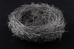 Nest_2021