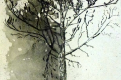 stephen-farthing-2